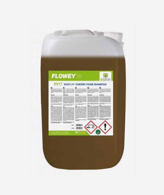 V 17 Galdieri Cleaning (1)