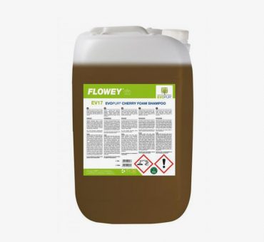 V 17 Galdieri Cleaning Gallery (1)